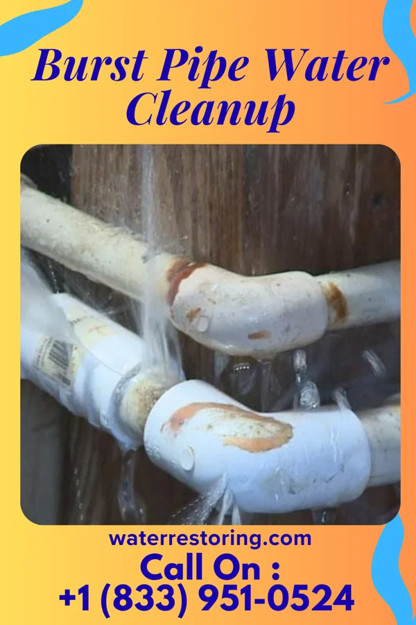 Burst Pipe Water Cleanup in Haiku-Pauwela, HI
