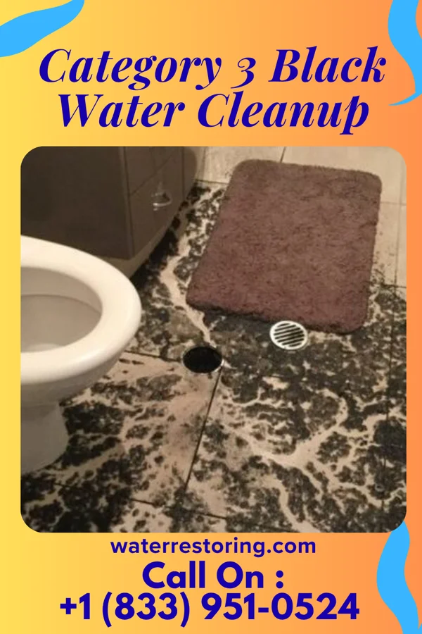 Category 3 Black Water Cleanup in Haiku-Pauwela, HI