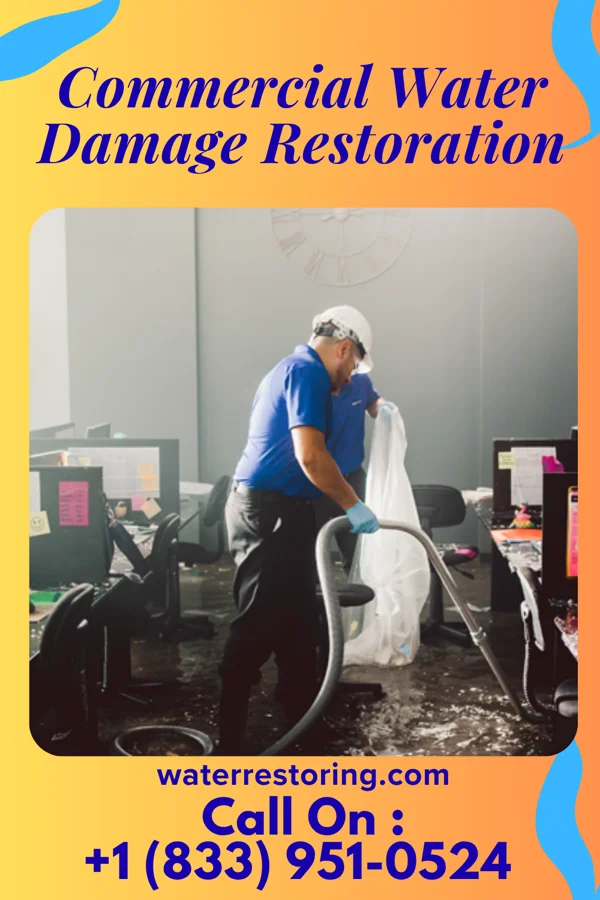 Commercial Water Damage Restoration in Haiku-Pauwela, HI