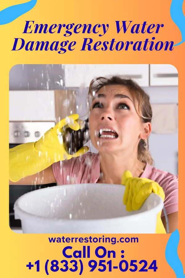Emergency Water Damage Restoration in Haiku-Pauwela, HI