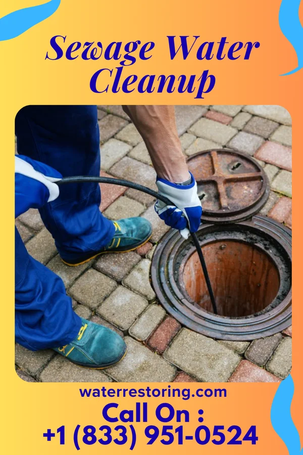 Sewage Water Cleanup in Haiku-Pauwela, HI